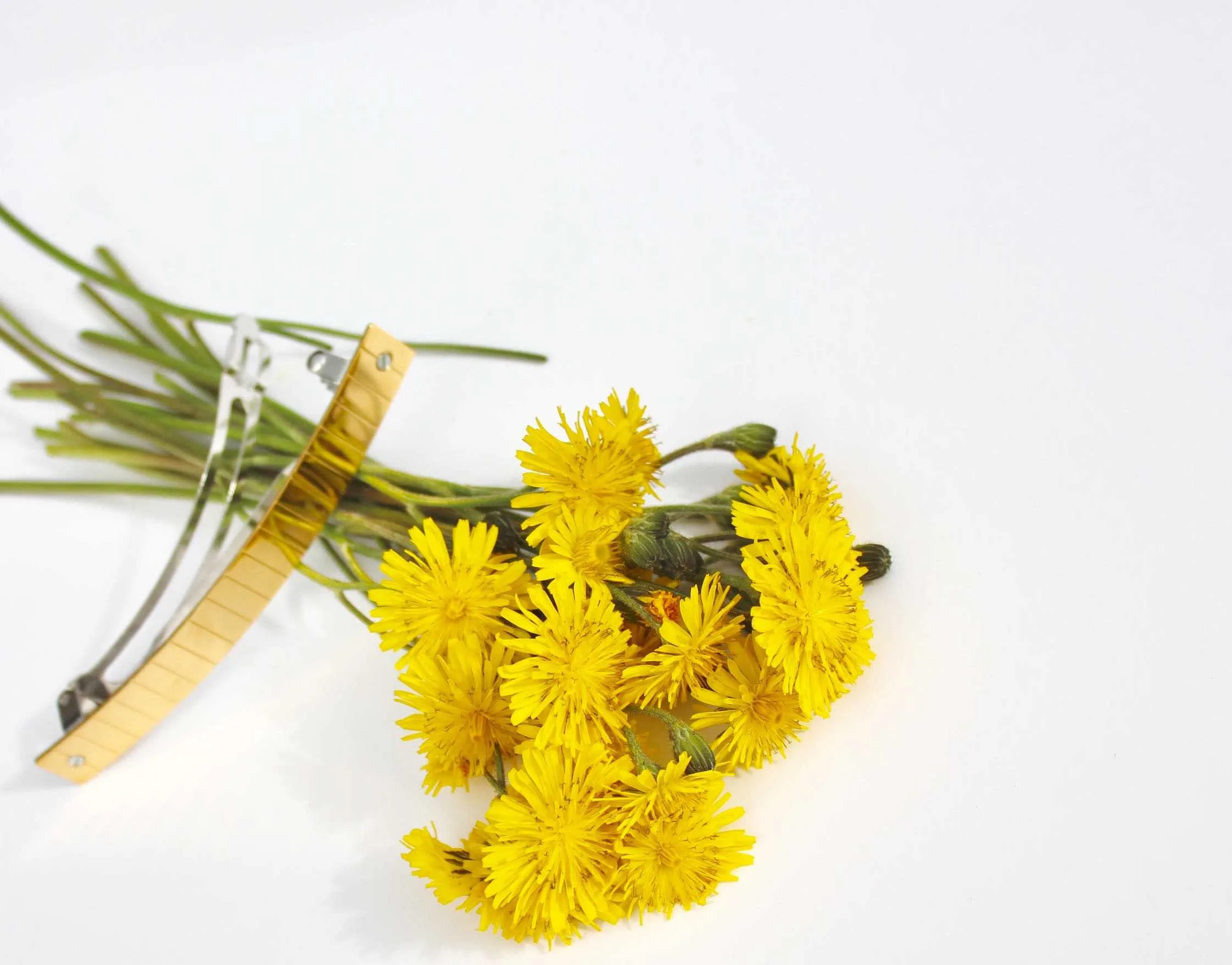 Barrette 028